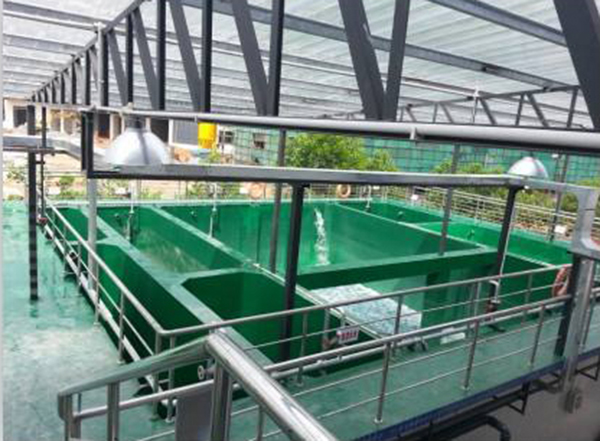 電鍍廢水回收 電鍍廢水回收